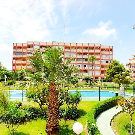 Best House Paola Torrevieja Exterior foto